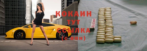 прущие крисы Лабытнанги