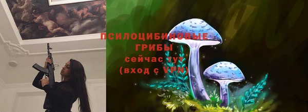 прущие крисы Лабытнанги