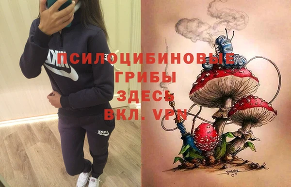ALPHA-PVP Куйбышев