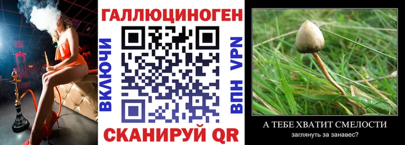Псилоцибиновые грибы Magic Shrooms  закладки  Мелеуз 