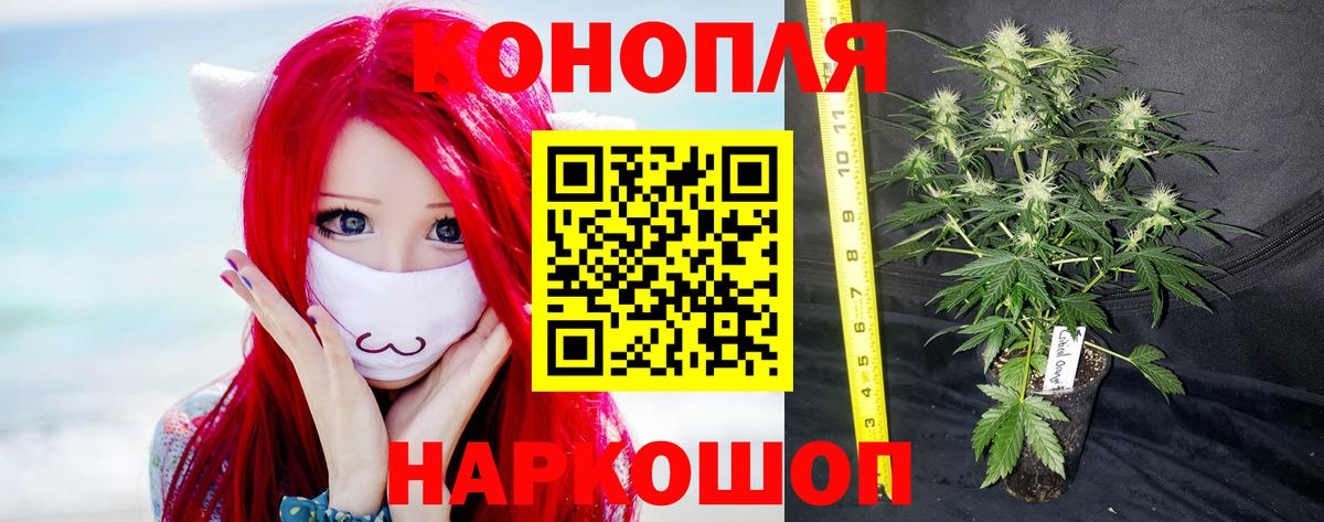 Канабис MAZAR  Каннабис планчик  Мелеуз  Вход с VPN  МАРИХУАНА Ganja 